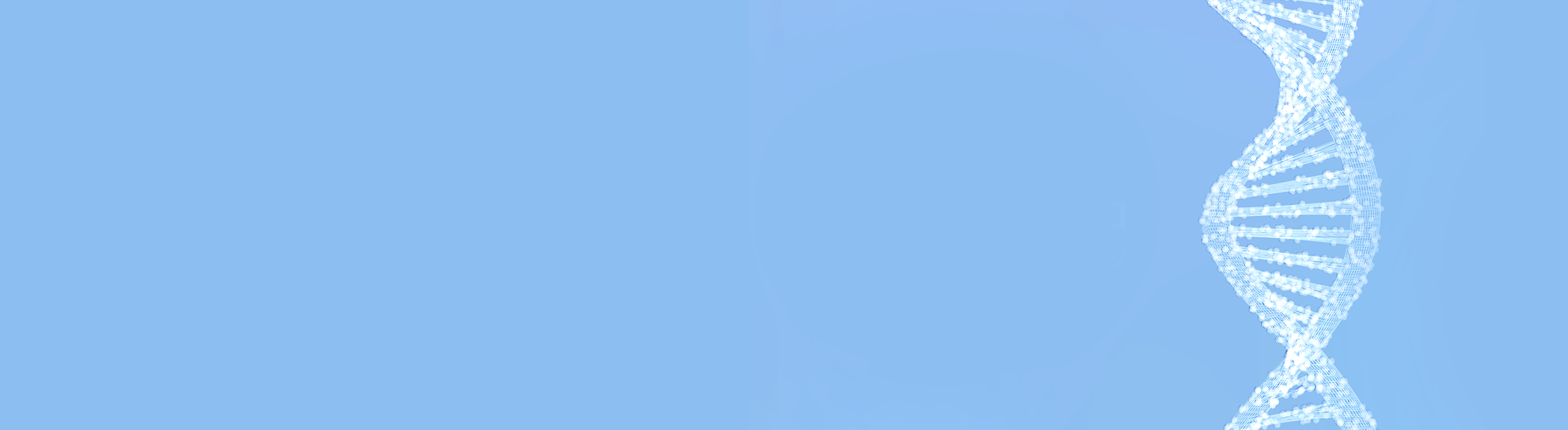 banner (19)