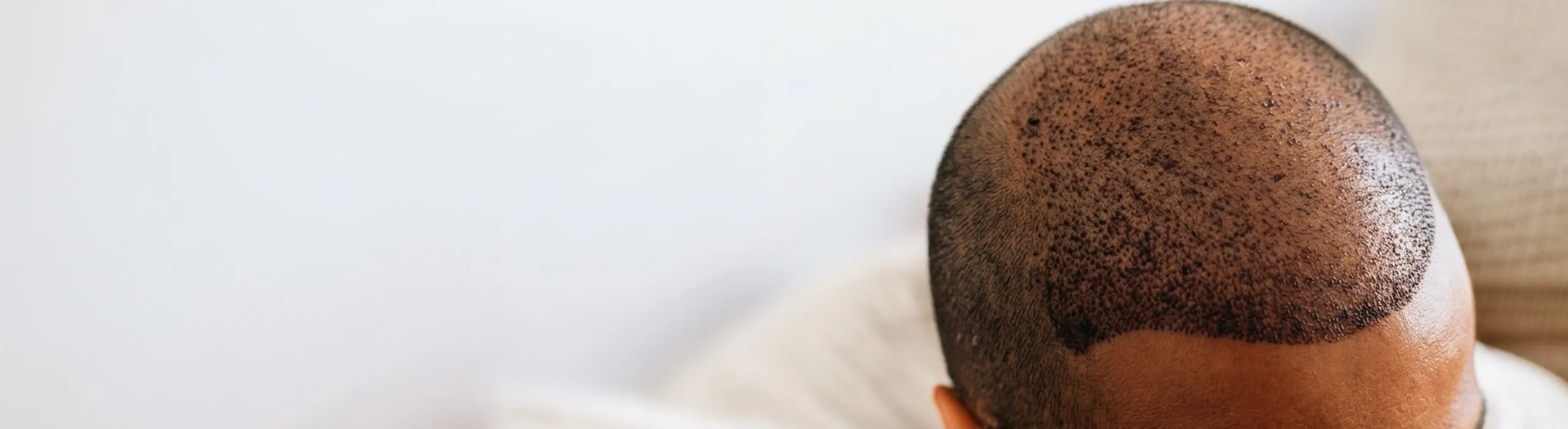 banner (6)